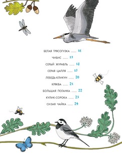 О птицах. Моя первая книга 6