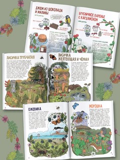 О птицах. Моя первая книга 3