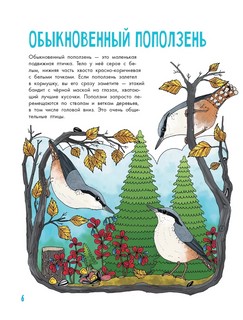 О птицах. Моя первая книга 8
