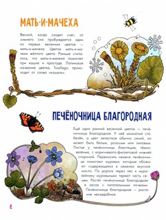 Цветы и растения. Моя первая книга 9