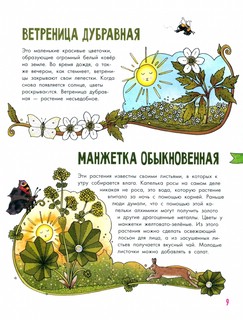 Цветы и растения. Моя первая книга 10