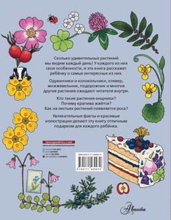 Цветы и растения. Моя первая книга 2