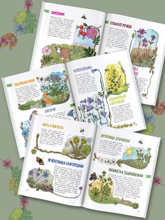 Цветы и растения. Моя первая книга 3