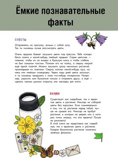 Цветы и растения. Моя первая книга 4