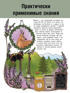 Цветы и растения. Моя первая книга 5
