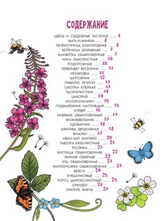Цветы и растения. Моя первая книга 6