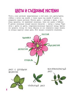 Цветы и растения. Моя первая книга 7
