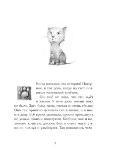 Кот Тихон, или Похищение Голландца 4