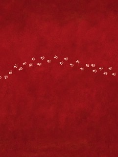 Маленькая колдунья 9