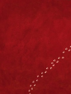 Маленькая колдунья 8