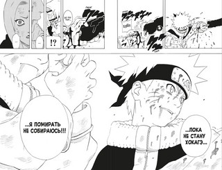 Naruto. Наруто. Книга 7. Наследие 2