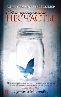 Мое прекрасное несчастье: роман 1