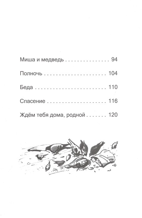 В Петропавловске-Камчатском полночь, Волкова Светлана Васильевна ...