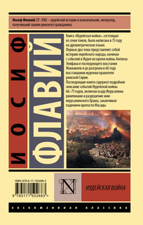 Иудейская война 2