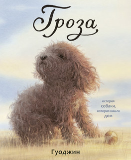 Гроза Поляндрия 1