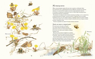 Цветочная книга шмеля 5