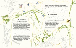 Цветочная книга шмеля 7