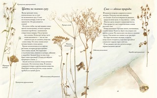 Цветочная книга шмеля 8