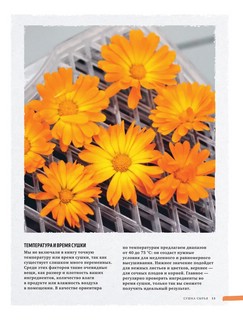 Дикий чай. Новые вкусовые территории. Дикий чай. Новые вкусовые территории. Как создать элегантный напиток из растений живой природы 11