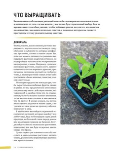 Дикий чай. Новые вкусовые территории. Дикий чай. Новые вкусовые территории. Как создать элегантный напиток из растений живой природы 12