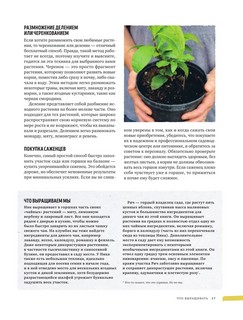 Дикий чай. Новые вкусовые территории. Дикий чай. Новые вкусовые территории. Как создать элегантный напиток из растений живой природы 15