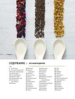 Дикий чай. Новые вкусовые территории. Дикий чай. Новые вкусовые территории. Как создать элегантный напиток из растений живой природы 3