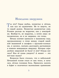 Невероятный Новый год или Лесные духи в Векшино 2