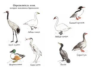 Криволапыч 6