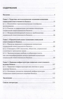Правовая концепция социальной ответственности бизнеса: монография 2