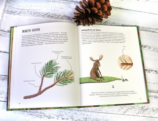 Елка и ее родственники 10