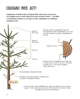 Елка и ее родственники 2
