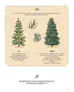 Елка и ее родственники 3