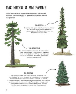 Елка и ее родственники 4