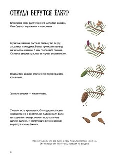 Елка и ее родственники 6