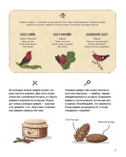 Елка и ее родственники 7