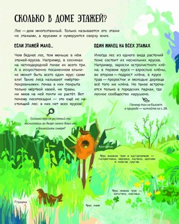 Лес: самый умный дом на свете 4