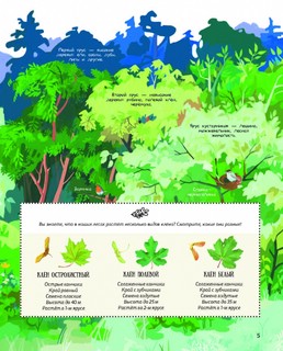 Лес: самый умный дом на свете 5