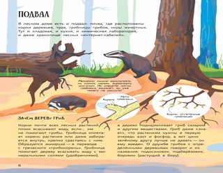 Лес: самый умный дом на свете 6