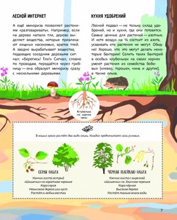 Лес: самый умный дом на свете 7