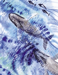 Маленькая косатка 7