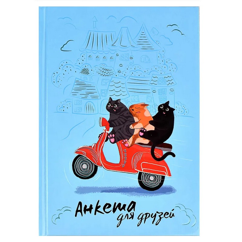 Анкета для друзей 'Погоня'