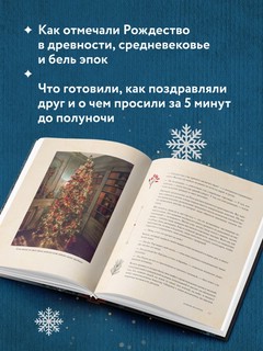 Новый год и Рождество. Волшебная история зимнего праздника от древности до наших времён 3