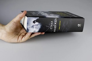 Страх и надежда: Как Черчилль спас Британию от катастрофы 10