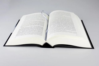 Страх и надежда: Как Черчилль спас Британию от катастрофы 7