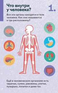 Как устроен человек. 30 карточек с экспериментами 4