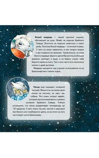 Чудо в Новый год. Как Белый Мишка нашёл друзей. Полезные сказки 2