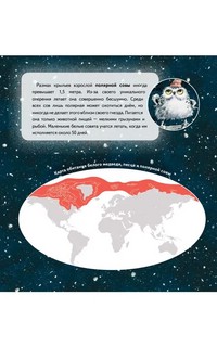 Чудо в Новый год. Как Белый Мишка нашёл друзей. Полезные сказки 3