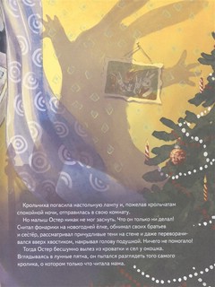 Лунный кролик. Новогодняя сказка о дружбе и чудесах 5