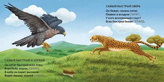 Загадки - рифмы. Самые-самые животные 2