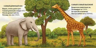 Загадки - рифмы. Самые-самые животные 5